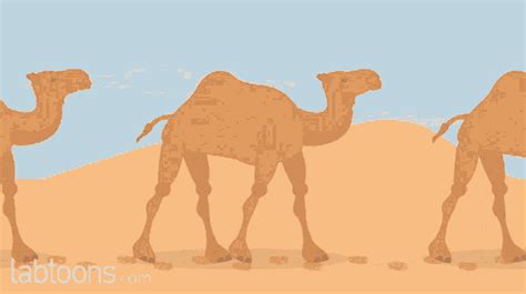 camel panties|PantyPeel Gifs .